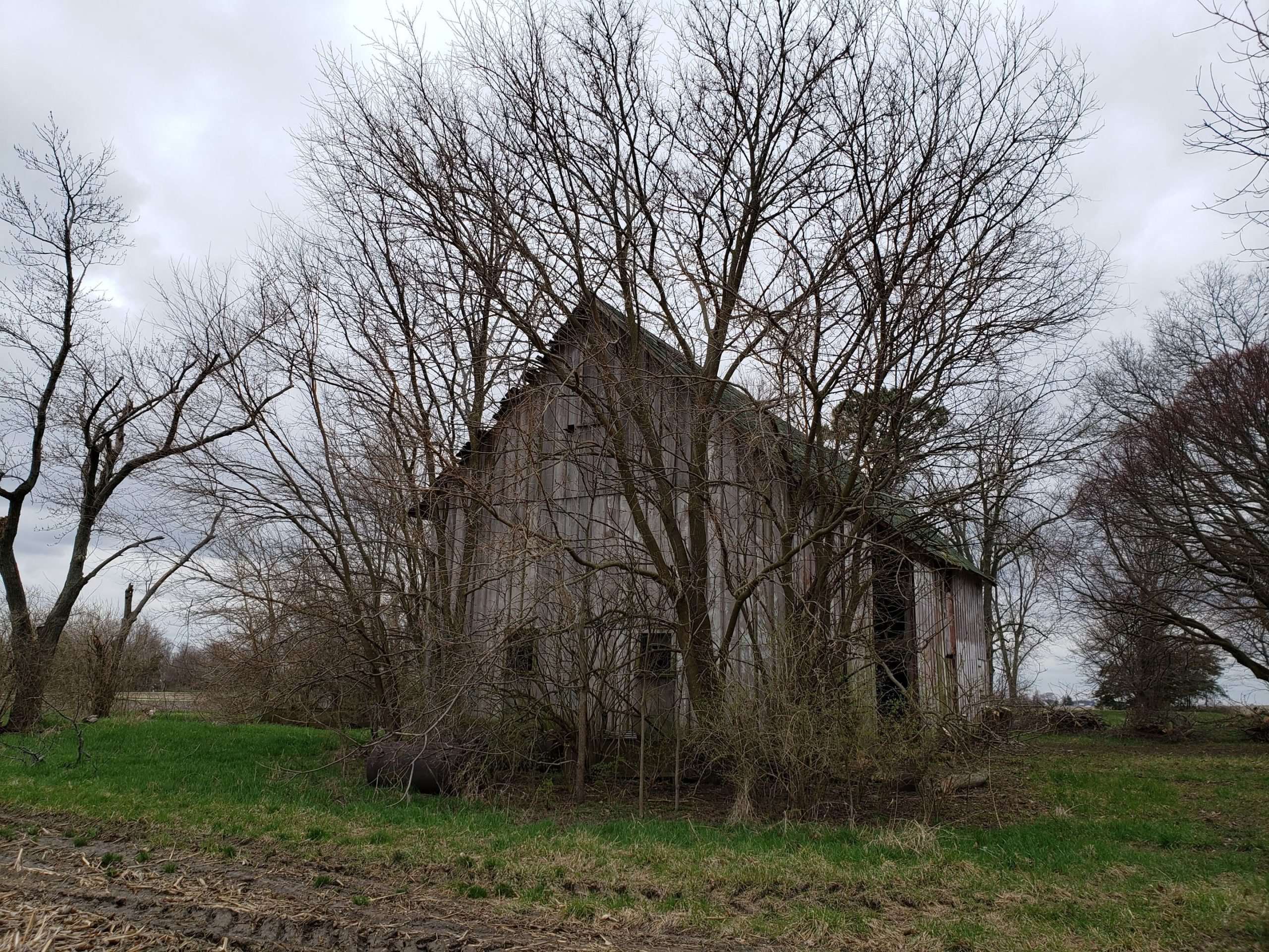 Horse Barn Restoration